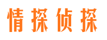 阳谷婚外情调查取证